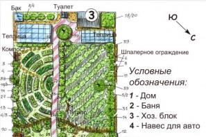 Планировка земельного участка под строительство дома